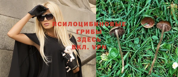 меф Белокуриха