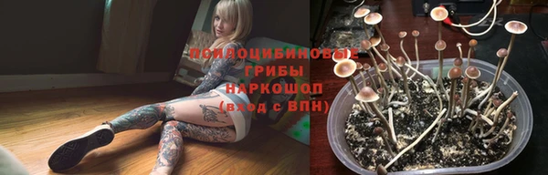 гидра Белоозёрский