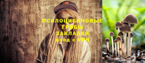 меф Белокуриха
