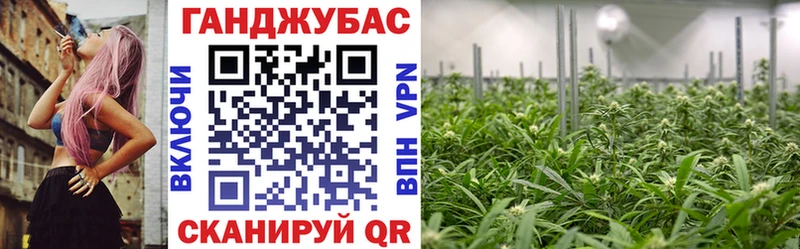 Бошки марихуана планчик  Фёдоровский 